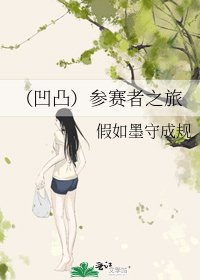 （凹凸）参赛者之旅